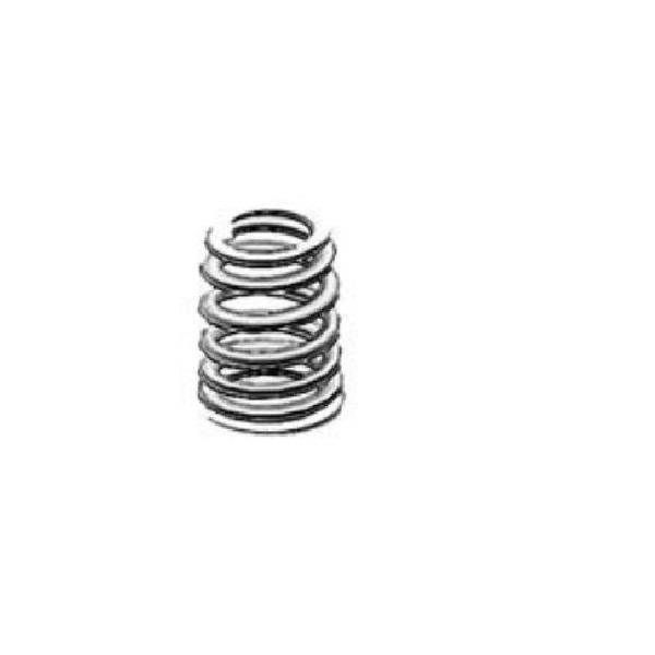 Valve Spring Sprężyna zaworu SWM 72120196