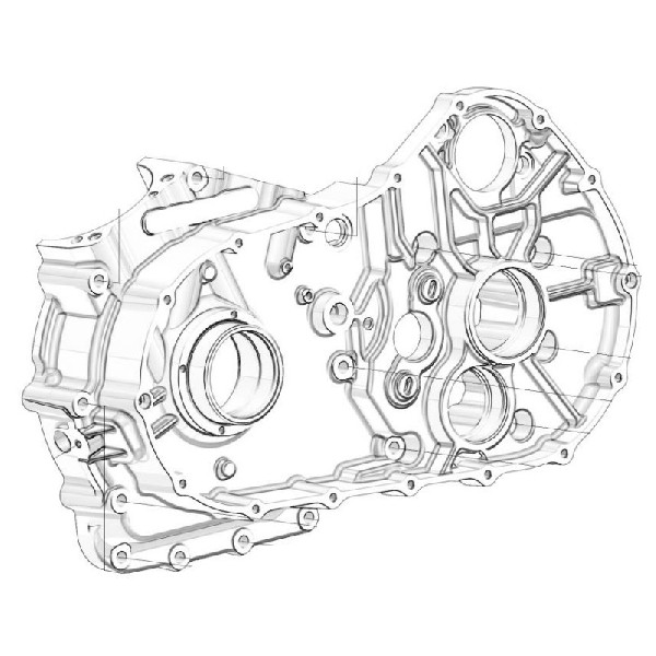 Left Crankcase Assembly Lewy karter silnika SWM 11011113
