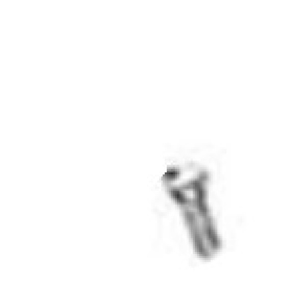 Bolt M5×16 – Śruba M5×16  SWM Stormbreaker 72012552