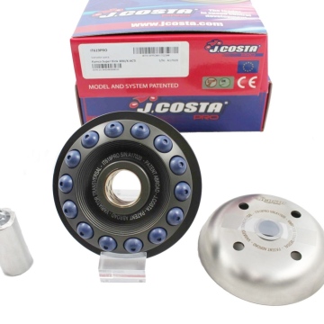 WARIATOR JCOSTA DINK300 K-XCTI300 KAWASAKI 300 J.COSTA