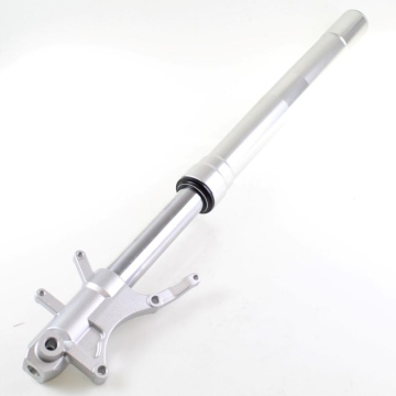 LAGA PRAWA 43300V020004