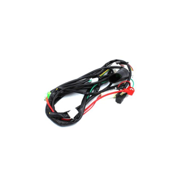 WIĄZKA ELEKTRYCZNA  315007098001