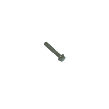 BOLT FLANGE SH 6*30 (G) 96001-06030-06