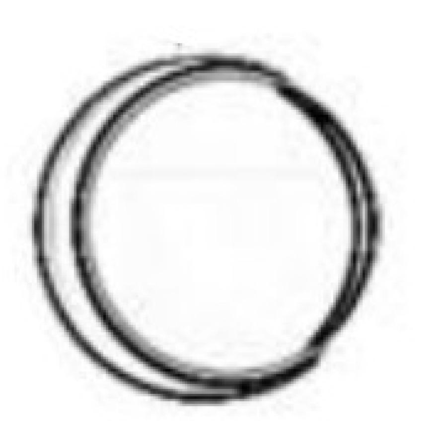 Exhaust Port Gasket – Uszczelka wylotu spalin  SWM Stormbreaker 18140312