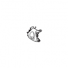 COVER, TAIL