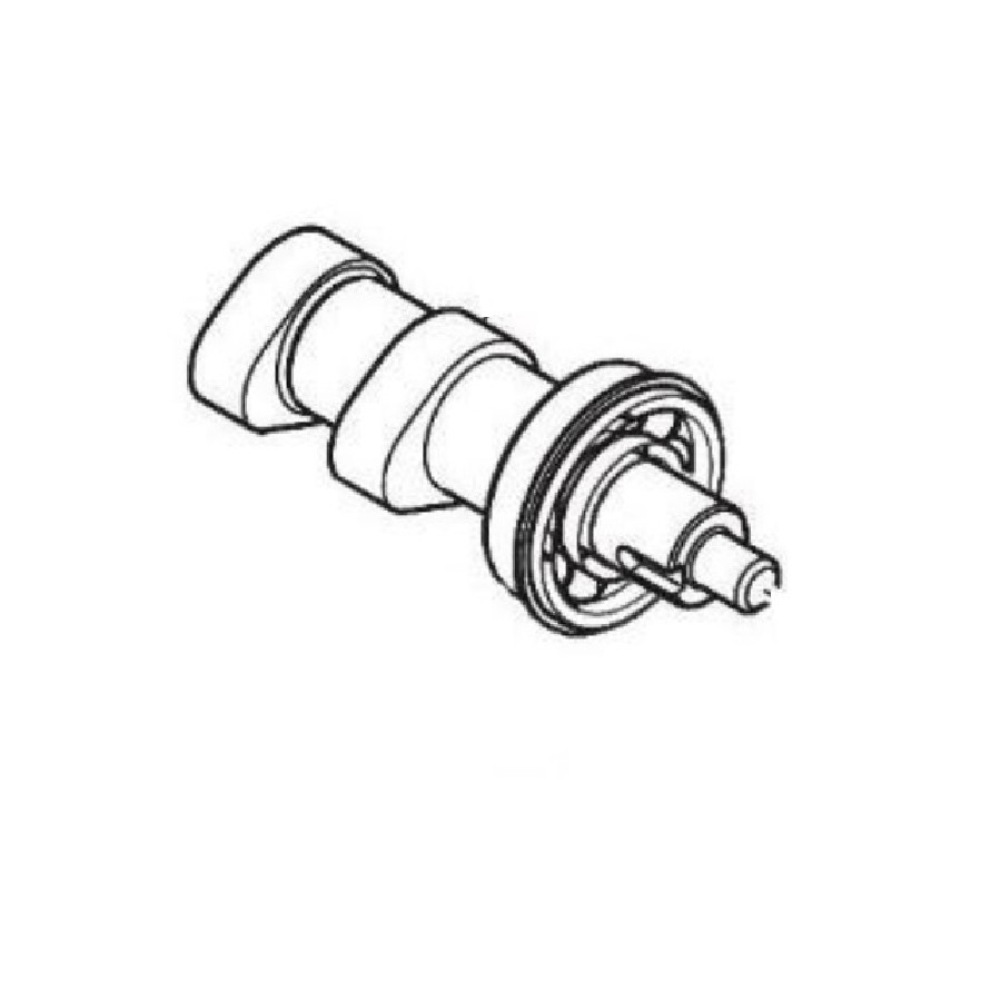 CAMSHAFT ASSY – INTAKE Wałek rozrządu ssący (komplet) SWM 22080067
