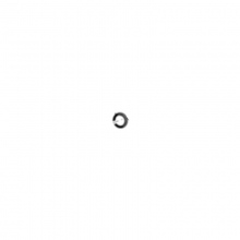 Gasket ring-298731