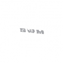 GRAPHIC SWM