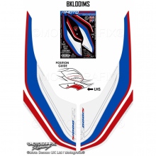 OKLEINA BOCZNA OWIEWKA POD ZBIORNIKIEM BMW S1000RR 2019-2021