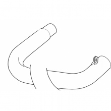 PIPE, EXHAUST RH RS 500 R