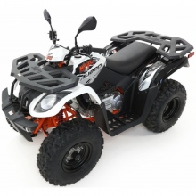 QUAD KAYO AU200 T3B