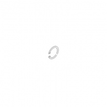 Snap ring-006635